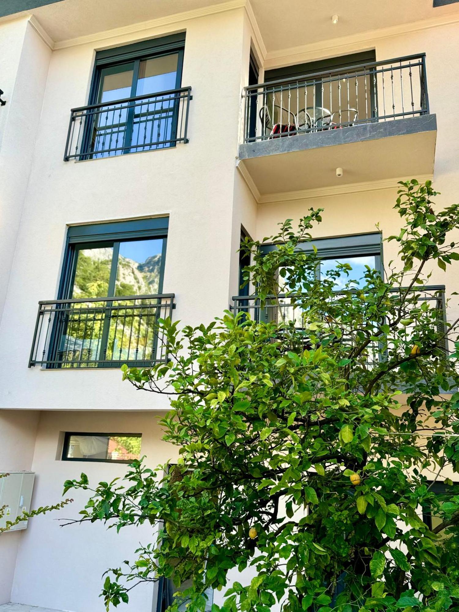 Harmony Garden Apartments 科托尔 外观 照片